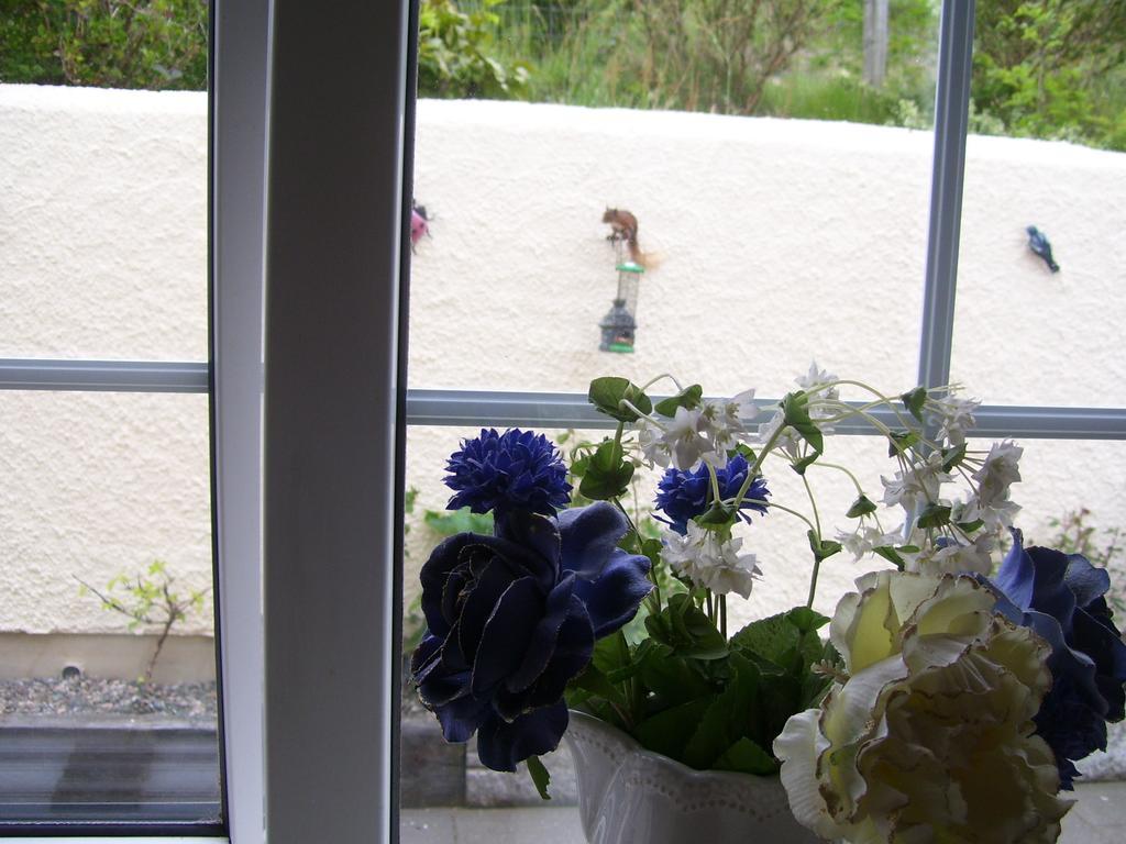 Lurig View B&B Glenariffe Zewnętrze zdjęcie